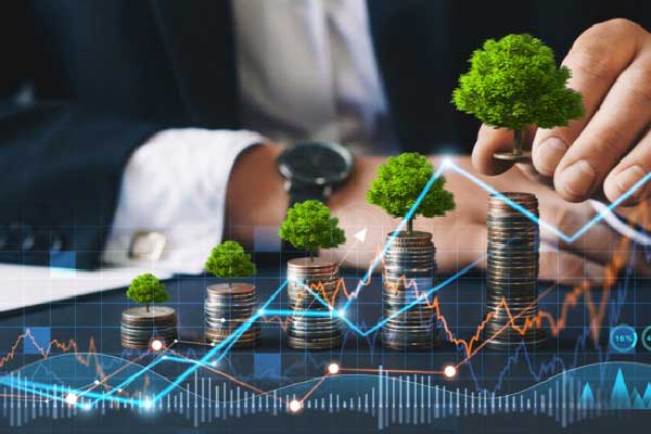 元成股份（603388）被处罚，股民索赔可期